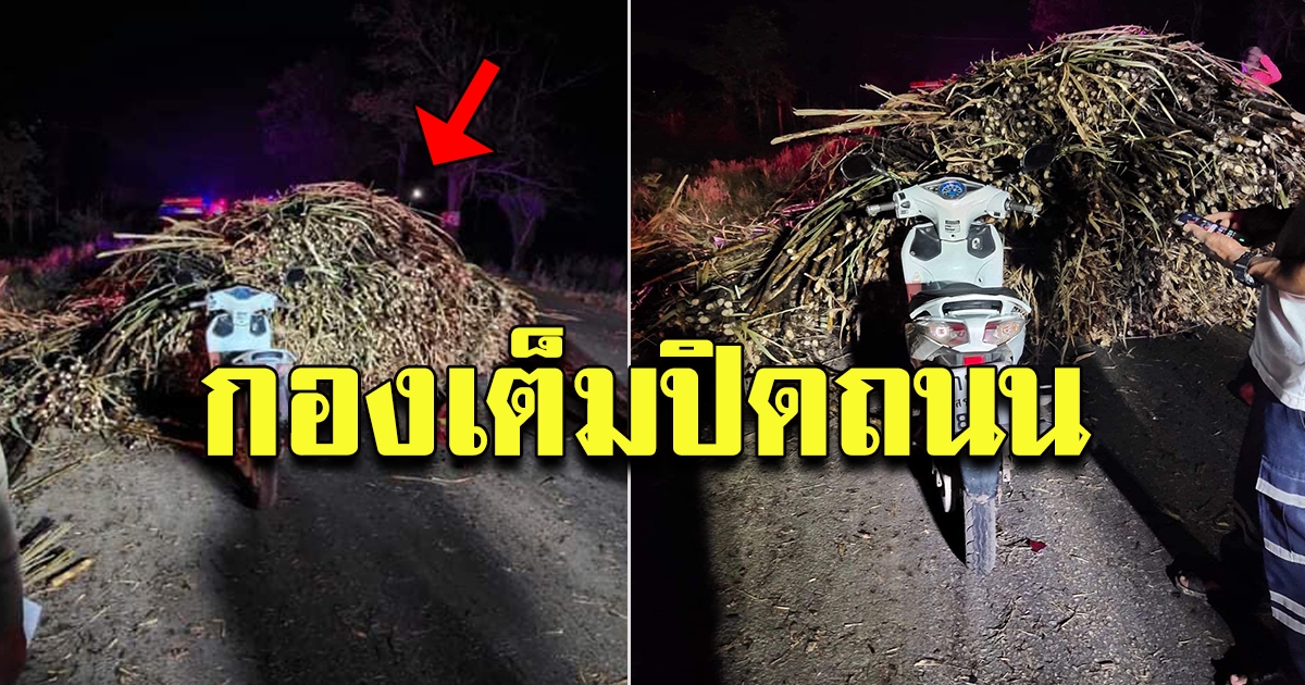 สาวขับรถจักรยานยนต์ อยู่บนถนน