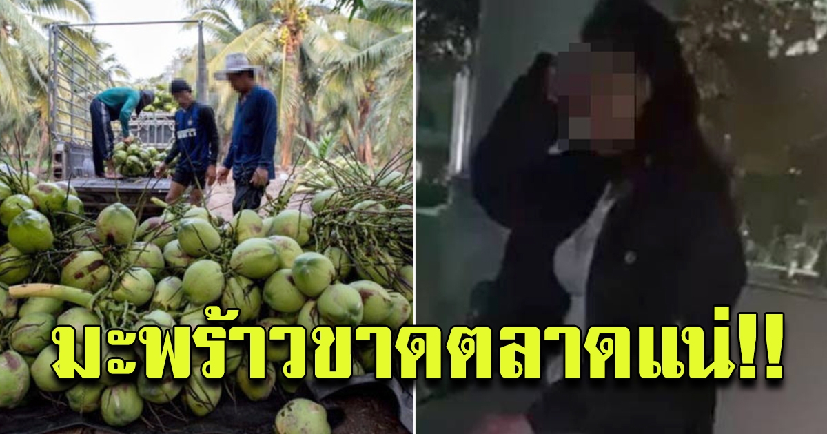 แพทย์ แจง น้ำมะพร้าว