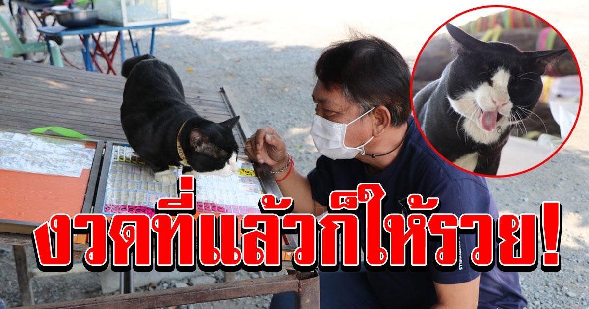 มาแล้ว เลข เจ้าโทน