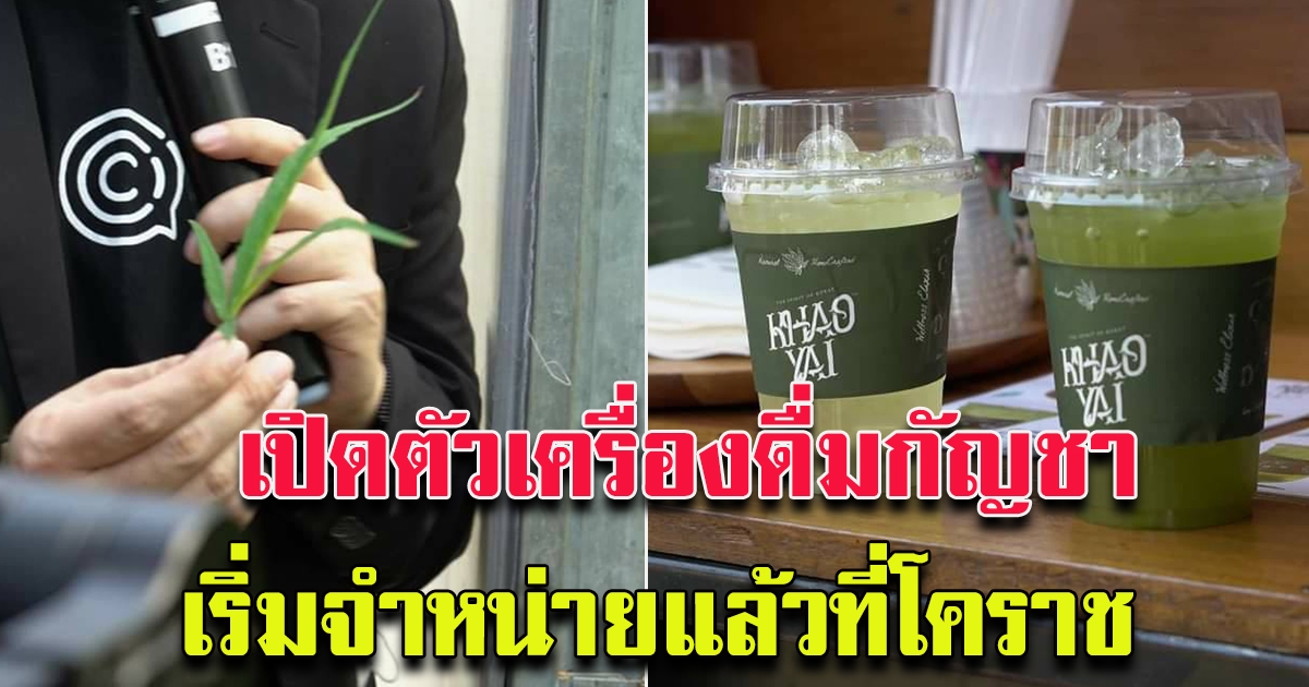 เปิดตัวเครื่องดื่ม อาหารจาก ผลิตภัณฑ์กัญชา