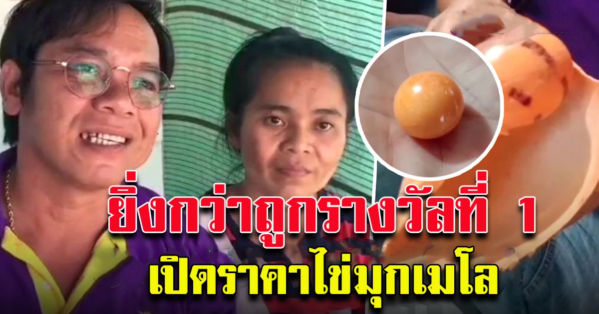 ยิ่งกว่าถูกรางวัลที่ 1 ราคาไข่มุกเมโล