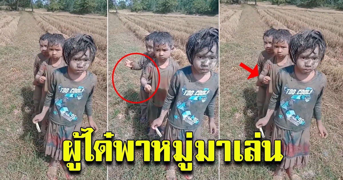 สามพี่น้อง พากันไปเล่น หลังแม่เผลอได้แปบเดียว