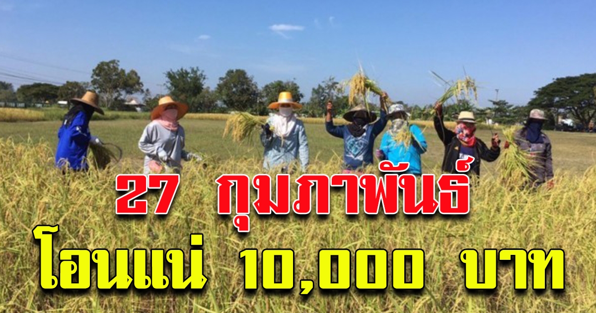 ยืนยันอย่างเป็นทางการ เงินพัฒนาคุณภาพข้าว 27 กุมภาพันธ์ โอนแน่