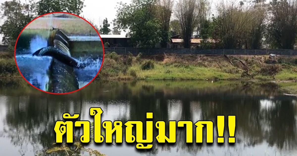 2 หนูน้อย เห็นพญานาคยักษ์ แสงวิบวับโผล่บ่อ