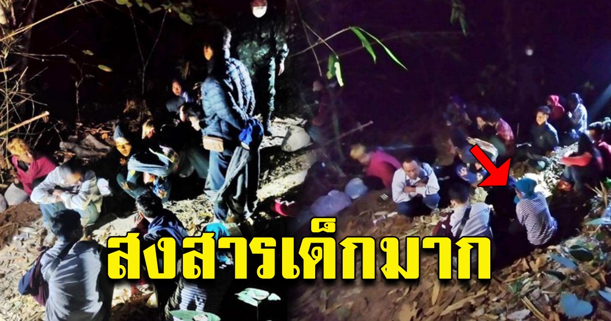 พบกลุ่มคนซ่อนตัวอยู่ในป่า ท่ามกลางความมืด
