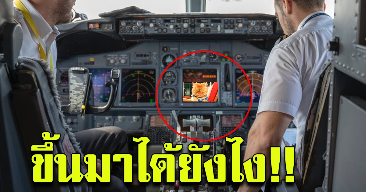 นักบิน วกเครื่องลงจอดฉุกเฉิน