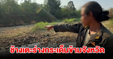 ช้างป่าไล่กระทืบชาวบ้าน เตะร่างกระเด็นข้ามจังหวัดดับสลด