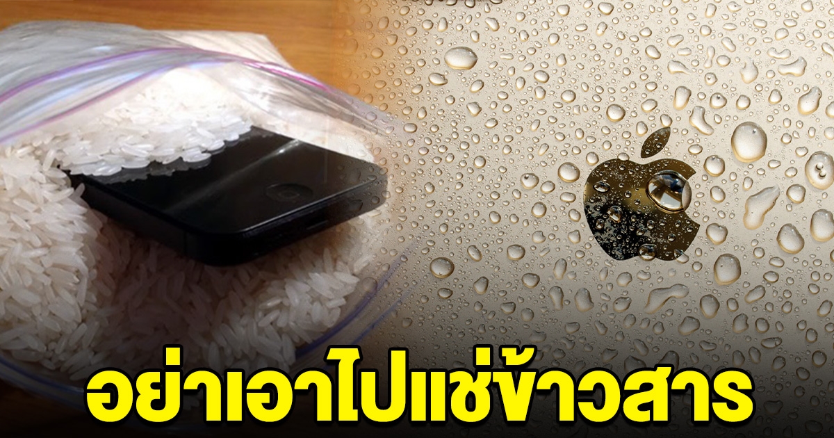 เตือน! อย่าเอาไอโฟนตกน้ำ ไปแช่ในข้าวสาร