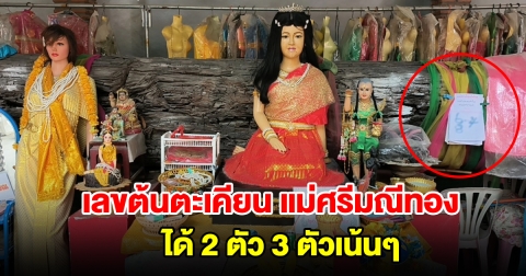 เลขต้นตะเคียน แม่ศรีมณีทอง ได้ 2 ตัว 3 ตัวเน้นๆ