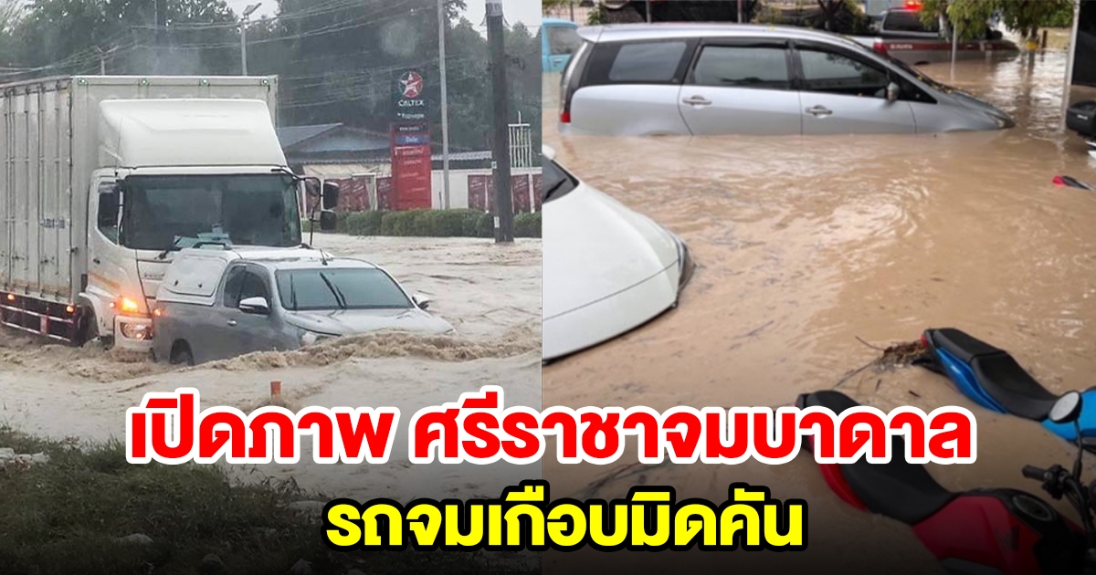 เปิดภาพศรีราชาจมบาดาล หลังพายุฤดูร้อนทำพิษ รถจมเกือบมิดคัน