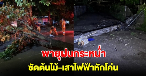 พายุฝนกระหน่ำ แรงลมซัดต้นไม้ เสาไฟฟ้าหักโค่น