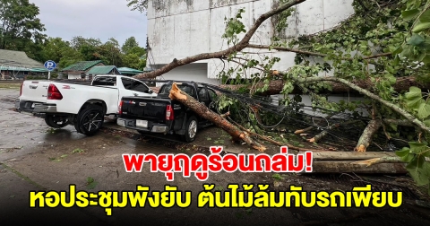 พายุฤดูร้อนถล่ม ซัดหอประชุม-อาคารเรียนพังยับ ต้นไม้ล้มทับรถยนต์เสียหายหลายคัน