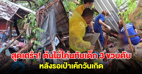สุดเศร้า! หนูน้อย 3 ขวบ รอเป่าเค้กวันเกิด พายุถล่มซัดต้นไม้โค่นทับดับคาที่