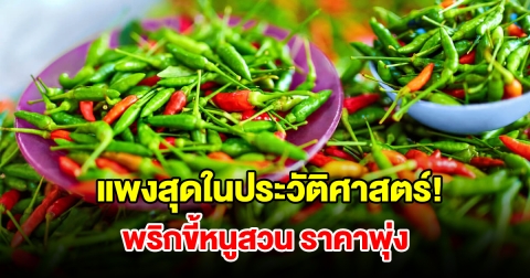 แพงสุดในประวัติศาสตร์! พริกขี้หนูสวนราคาพุ่ง แถมขาดตลาด