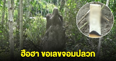 ฮือฮา จอมปลวกรูปร่างคล้ายผู้หญิง เชื่อเป็นเจ้าที่ คนแห่จุดธูป