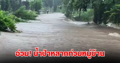 อุบลราชธานีอ่วม! ฝนถล่มหนัก น้ำป่าหลากท่วมหมู่บ้าน บ้านเรือนเสียหายเพียบ