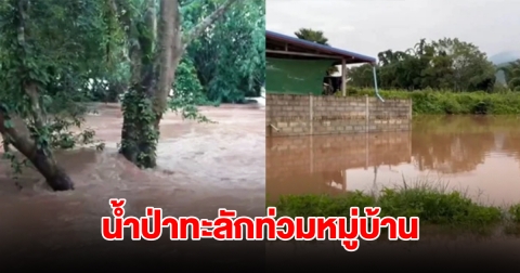 ฝนตกต่อเนื่อง น้ำป่าทะลักท่วมหมู่บ้านตีนภูหลวง ชาวบ้านต้องขนของหนีน้ำขึ้นที่สูง