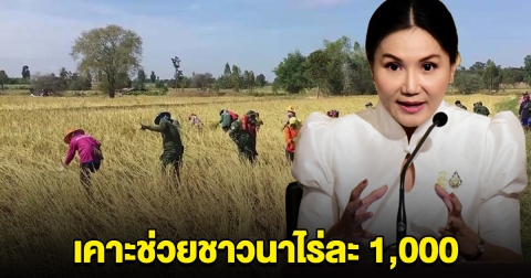 เฮ เคาะช่วยชาวนาไร่ละ 1,000 เตรียมชง นบข.