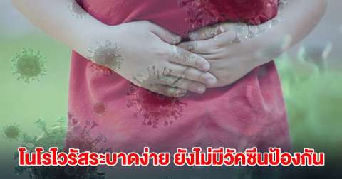 หมอแล็บแพนด้า เผย โนโรไวรัสระบาดง่าย หน้าฝน-หน้าหนาว ยังไม่มีวัคซีนป้องกัน