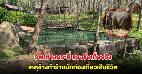 รพ.ช้างกระบี่ แจงข้อเท็จจริง เหตุช้างทำร้ายนักท่องเที่ยวเสียชีวิต