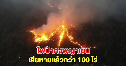 ไฟป่าดงพญาเย็น เสียหายแล้วกว่า 100 ไร่ ตั้งแต่ต้นปีไหม้แล้ว 3 ครั้ง