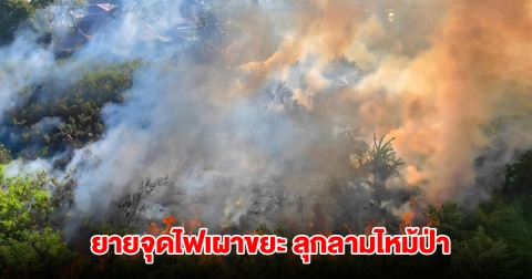 ยาย 75 ปี จุดไฟเผาขยะ ลุกลามไหม้ป่า ใกล้ชุมชนเขาเพชร