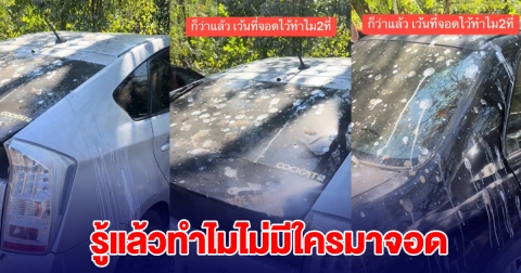 หนุ่มไปเที่ยวซาฟารี เห็นที่ว่างรีบเข้าไปจอด กลับมาอีกทีเข่าแทบทรุด