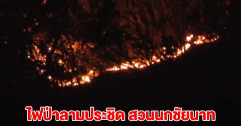 ด่วน! ไฟป่าลามประชิด สวนนกชัยนาท เร่งระดมรถดับเพลิง