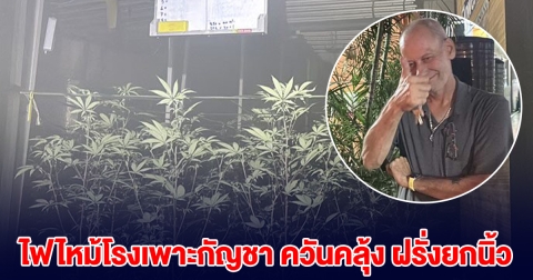 ระทึกพัทยา! ไฟไหม้โรงเพาะกัญชา ควันคลุ้ง ฝรั่งยกนิ้ว ตาเยิ้มฉ่ำ