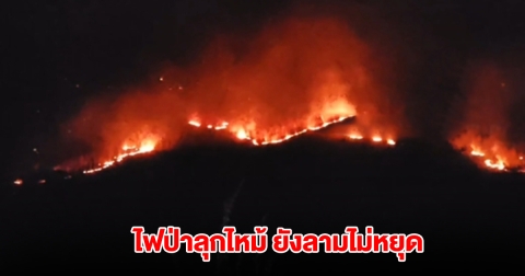 ยังลามไม่หยุด! ไฟป่าลุกไหม้เขาคอกช้าง ขยายวงกว้างกว่า 700-800 ไร่