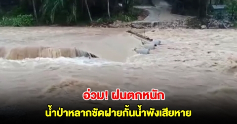 สุราษฎร์ธานีฝนตกหนัก น้ำป่าหลากซัดฝายกั้นน้ำพังเสียหาย