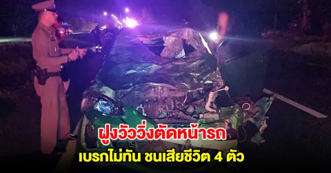 สาวขับเก๋ง เจอฝูงวัววิ่งตัดหน้า พุ่งชนเสียชีวิต 4 ตัว รถพังยับ