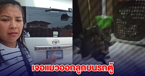ตั๊ก ศิริพร ตกใจ เจองูเข้าบ้าน แมวออกลูกในรถตู้