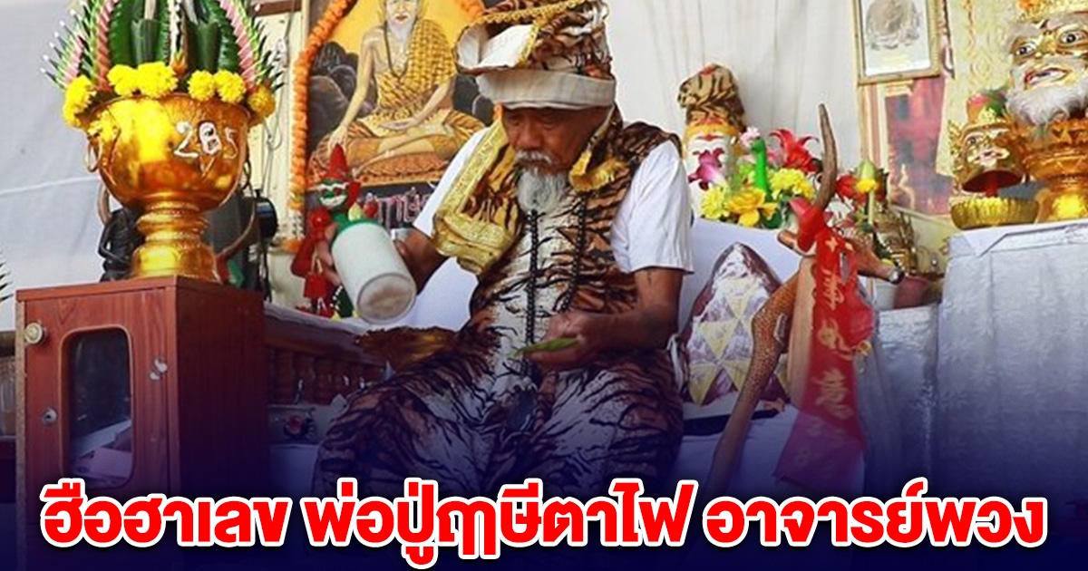 ฮือฮาเลข พ่อปู่ฤาษีตาไฟ อาจารย์พวง