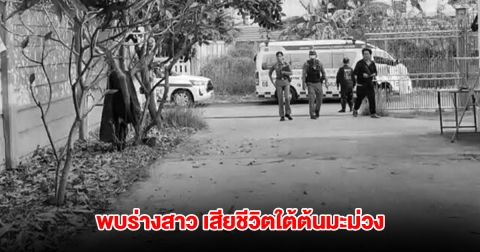 ช็อก! พบร่างสาว เสียชีวิตใต้ต้นมะม่วง