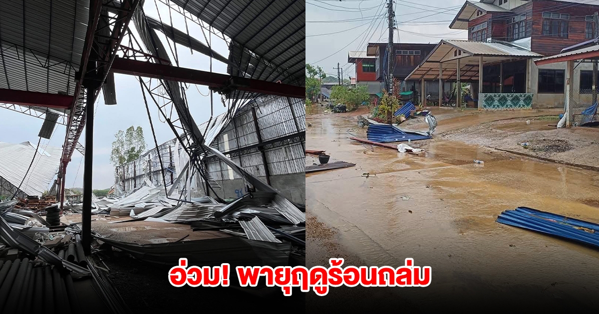 พายุฤดูร้อนถล่ม จังหวัดเลย หลังคาปลิวว่อน ต้นไม้หักโค่นปิดถนน