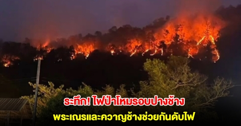 ระทึก! ไฟป่าโหมรอบปางช้าง อ.แม่แตง พระเณรและควาญช้างช่วยกันดับไฟ
