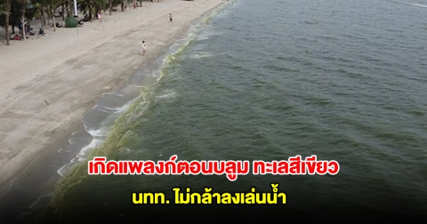 บางแสน เกิดแพลงก์ตอนบลูม ทะเลสีเขียว นักท่องเที่ยวไม่กล้าลงเล่นน้ำ