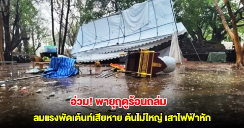 โคราชอ่วม พายุฤดูร้อนถล่ม ลมแรงพัดเต้นท์เสียหาย ต้นไม่ใหญ่ เสาไฟฟ้าหักโค่น