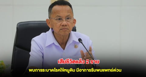 เสียชีวิตแล้ว 2 ราย พบการระบาดโรคไข้หมูดิบ มีอาการรีบพบแพทย์ด่วน