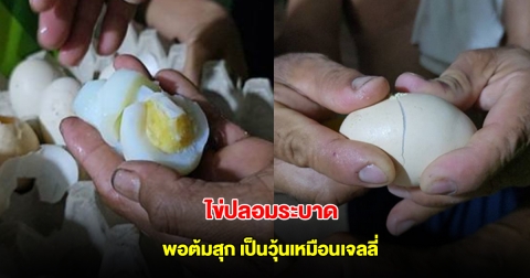 ชาวหนองคายผวา ไข่ปลอมระบาด พอต้มสุกพบเป็นวุ้นเหมือนเจลลี่