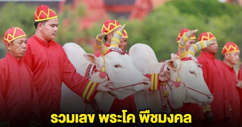 รวมเลข พระโค พืชมงคล งวด 16 พ.ค.68