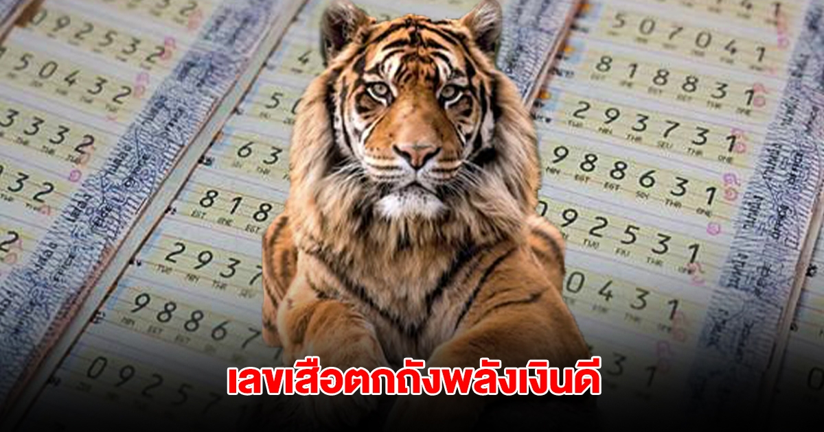 เลขเสือตกถังพลังเงินดี 1 มิ.ย. 68 เบิ้ลควรระวัง