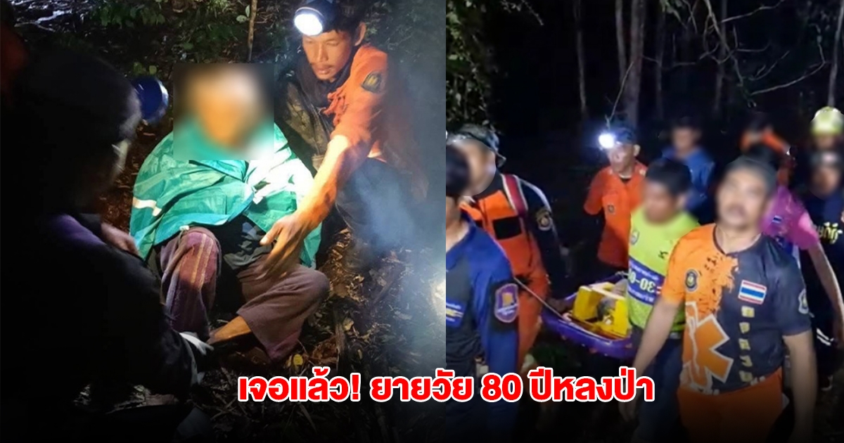 เจอแล้ว! ยายวัย 80 ปีหลงป่า โดนแตนต่อยวิ่งหนีเอาชีวิตรอด ก่อนหมดแรง นั่งรอความช่วยเหลือ