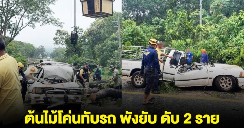 เกิดเหตุสลด ต้นไม้โค่นทับรถปิกอัพ พังยับ ดับ 2 ราย