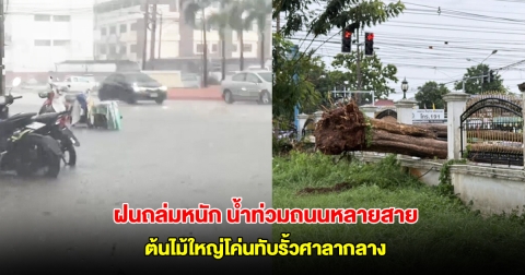 เลยอ่วม! ฝนถล่มหนัก น้ำท่วมถนนหลายสาย ต้นไม้ใหญ่โค่นทับรั้วศาลากลาง