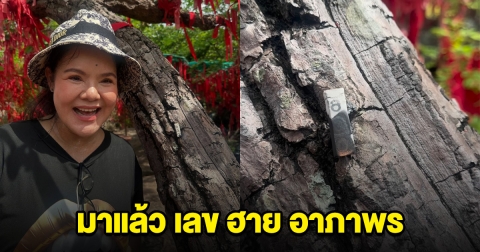 เลขธูปฮาย อาภาพร ปรากฏชัดจากต้นไม้ศักดิ์สิทธิ์