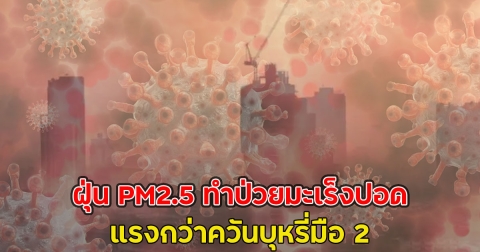 งานวิจัยช็อก!! ฝุ่น PM2.5 ทำป่วยมะเร็งปอด ในคนไม่สูบบุหรี่ แรงกว่าควันบุหรี่มือ 2