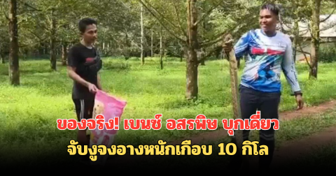 ของจริง เบนซ์ อสรพิษ บุกเดี่ยว จับงูจงอางหนักเกือบ 10 กิโล