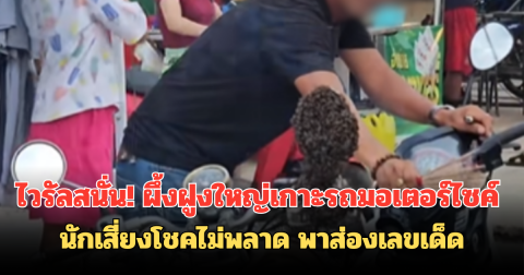 ไวรัลสนั่น! ผึ้งฝูงใหญ่เกาะรถมอเตอร์ไซค์ นักเสี่ยงโชคไม่พลาด พาส่องเลขเด็ด